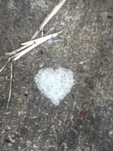 lichen heart in the driveway